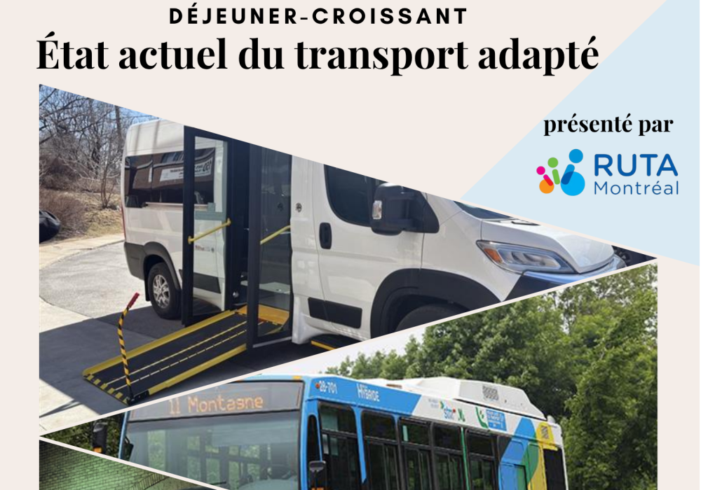 Déjeuner-croissant - État actuel du transport adapté